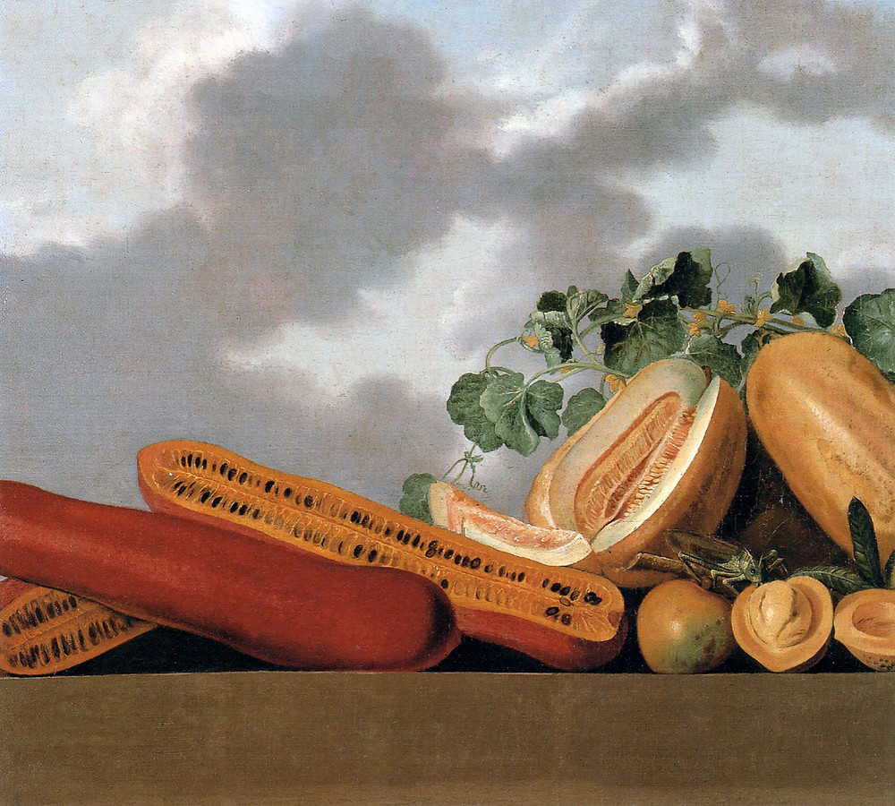 Albert Eckhout (1610 - 1666) - Abóboras e Melões