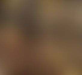 Maçãs congeladas: Eliot Porter