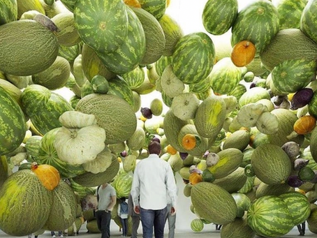 Instalações vegetais imersivas, por Cyril Lancelin