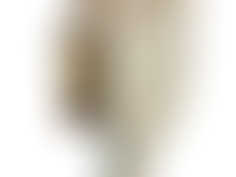 Cardápio de um jantar servido a D. Pedro II em 1887