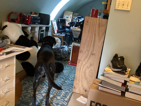 Attic Bedroom Conversion- How we Transformed our Attic Space into a Teenage Retreat