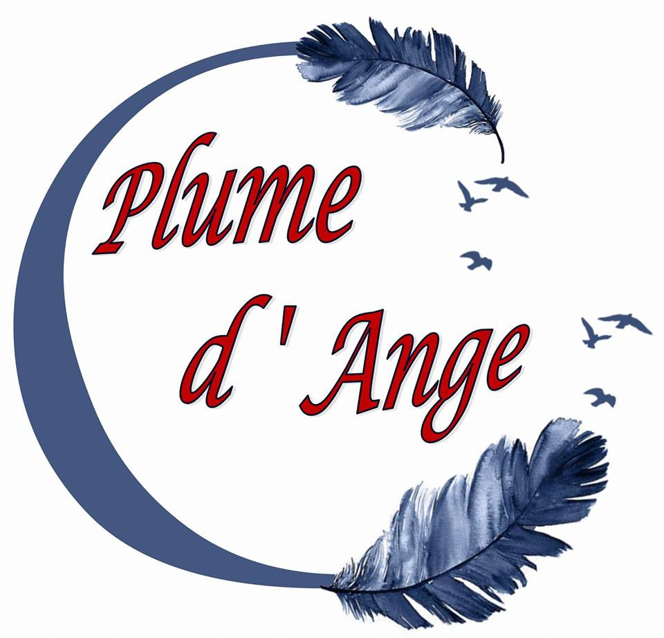 Plume D Ange Plume D Ange
