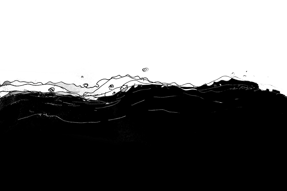 header.png