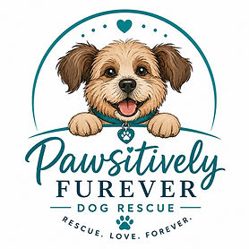 new logo.jpg