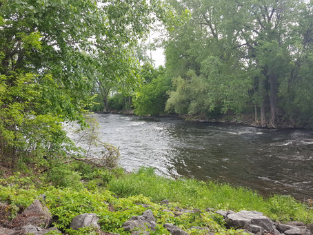 Adirondack Healing Garden Plattsburgh New York
