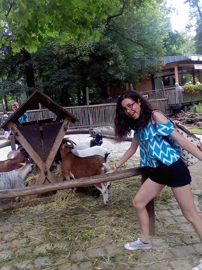 IMG_20180712_114859-ANIMATION