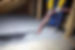 Pest Control Insulation