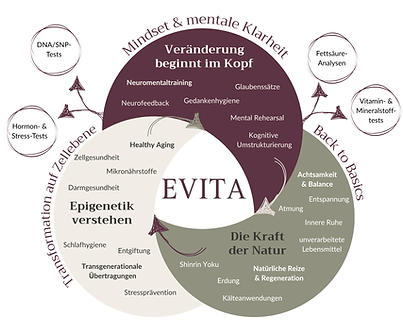 EVITA Methode(2).png