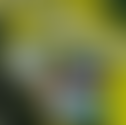 maketarte, maketarte maquetes, maquetes, maquetes fisicas, arquitetura, arquiteto de maquete, maquetista, construtora, loteamentos, maquete de loteamento, engenharia de maquete, maquete em escala, miniatura,  maquete em miniatura, modelo em miniatura, arquiteto de miniatura, maquete de exposição, representação em escala, maquete tridimensional, modelo em escala, construção em escala, maquete física de apresentação, empresa de modelos tridimensionais, produtora de maquetas físicas, escritório de maquetes, serviço de maquetes, serviço de maquetes fisicas, construtora de modelos físicos, serviço de construções em escala, fábrica de maquetes, fábrica de maquetes fisicas, produtora de construções em miniatura, produtora de maquetes, produtora de maquetes fisicas