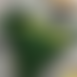 maketarte, maketarte maquetes, maquetes, maquetes fisicas, arquitetura, arquiteto de maquete, maquetista, construtora, loteamentos, maquete de loteamento, engenharia de maquete, maquete em escala, miniatura,  maquete em miniatura, modelo em miniatura, arquiteto de miniatura, maquete de exposição, representação em escala, maquete tridimensional, modelo em escala, construção em escala, maquete física de apresentação, empresa de modelos tridimensionais, produtora de maquetas físicas, escritório de maquetes, serviço de maquetes, serviço de maquetes fisicas, construtora de modelos físicos, serviço de construções em escala, fábrica de maquetes, fábrica de maquetes fisicas, produtora de construções em miniatura, produtora de maquetes, produtora de maquetes fisicas