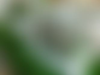 Vista de Porto Canoa | Morar Construtora - Maquete Física #37