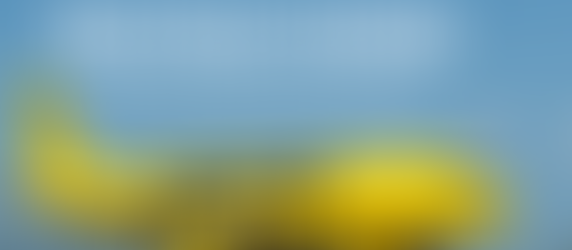 Spirit Airlines Restructuring: What Travelers Need to Know About the Future of the Ultra-Low-Cost Carrier