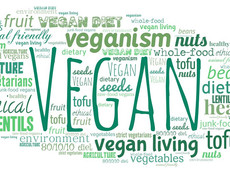 Why are Vegans so Intolerant?