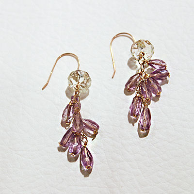 Wisteria