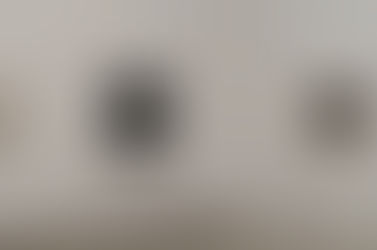 走马不全观花儿