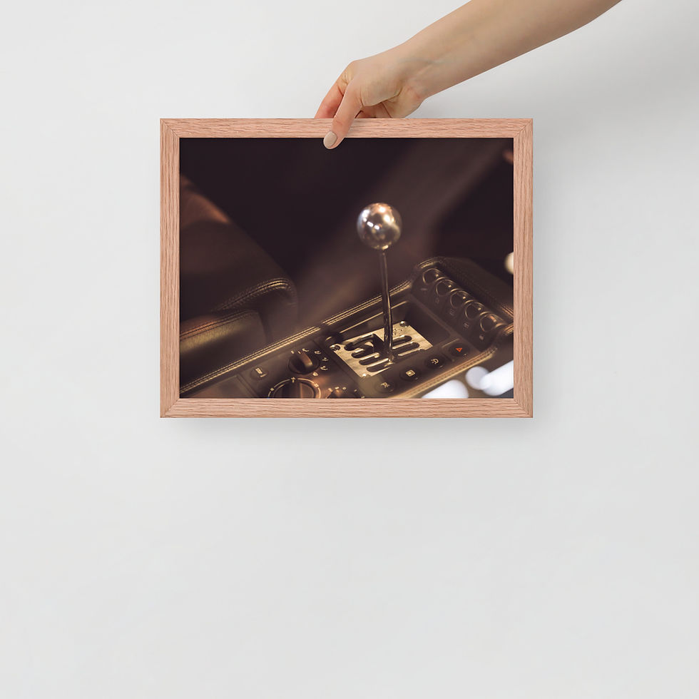 Thumbnail: Framed poster Details