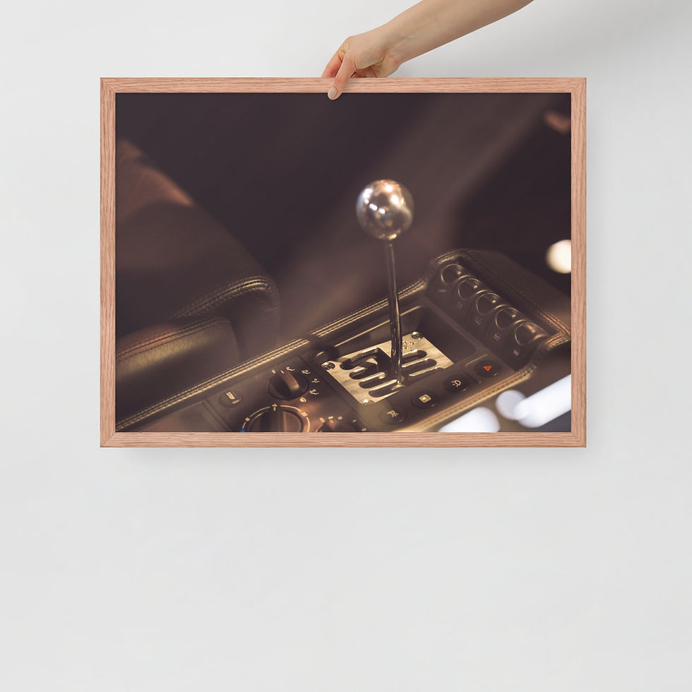 Thumbnail: Framed poster Details