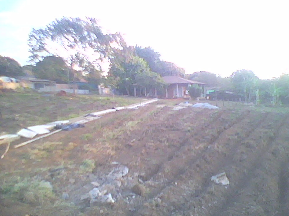 IMG0176A (2)