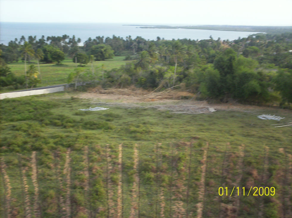 01 (10)