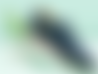 Prediksi Tren Footwear Indonesia di 2026: Apa yang Bakal Hits?