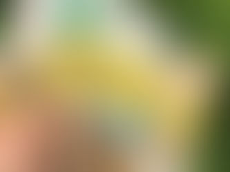 Fun things to send in a snail mail letter