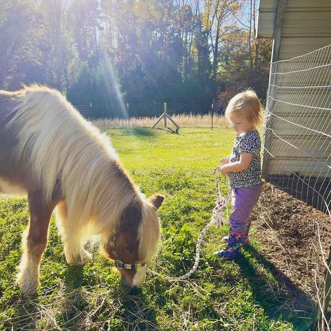 Zuber Petting Zoo (59).jpeg