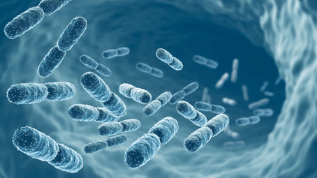 The Role of Probiotics in Wound Healing