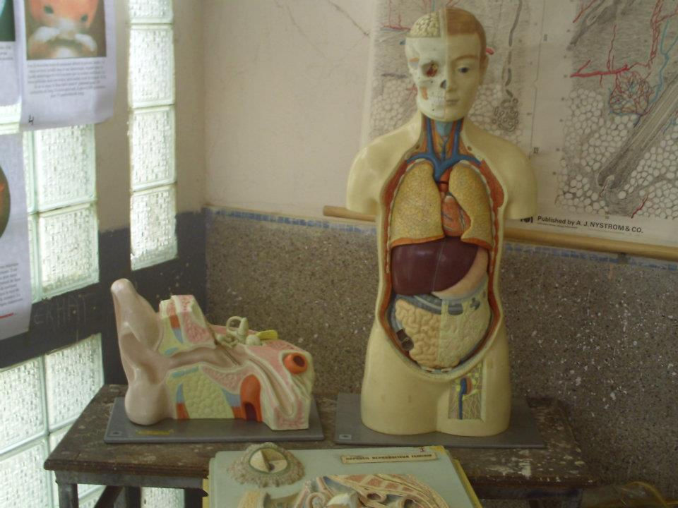 Atelier Anatomie