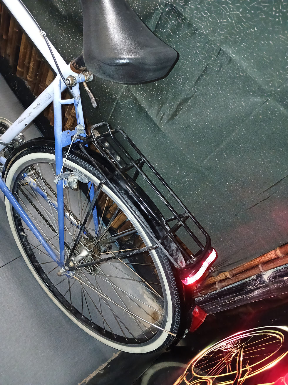 Miniaturbild: "Taifun"Citybike.28 zoll.18 Gänge.55 cm RH.mit 1 Jahr Garantie