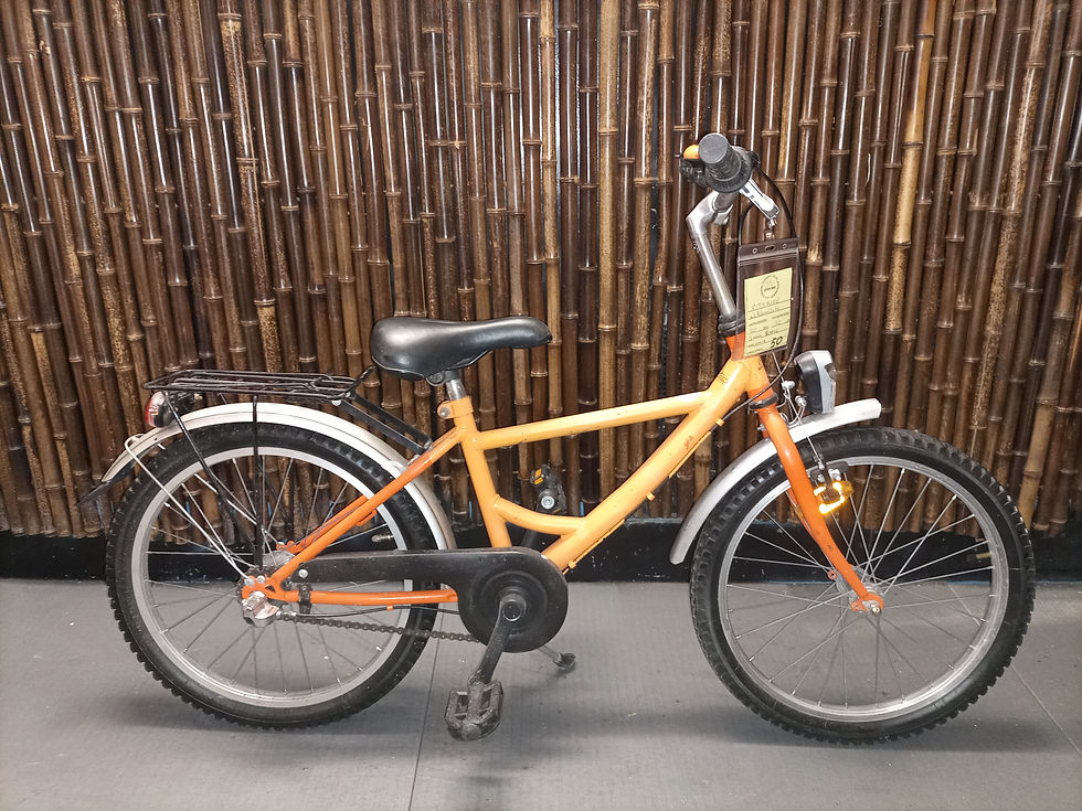 Kinderfahrrad, 20 Zoll,3 Gänge,29 cm RH