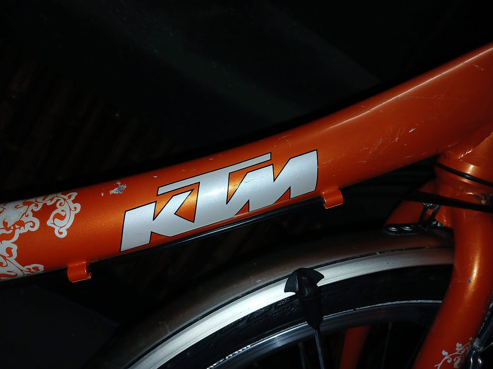 Miniaturbild: "KTM WILD CAT"Mountainbike.24 zoll.21 Gänge.35 cm RH.mit 1 Jahr Garantie.