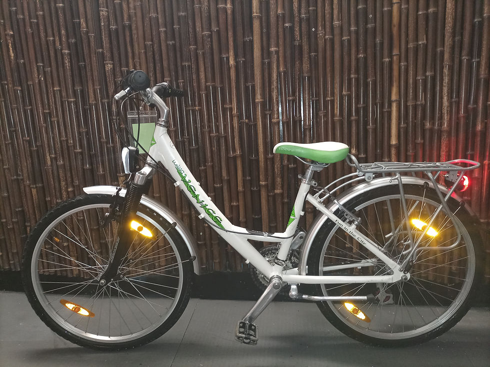 "VENICE" Mädchen Fahrrad,24 Zoll,21 Gänge,37 cm RH,mit 12 Monatige Garantie.