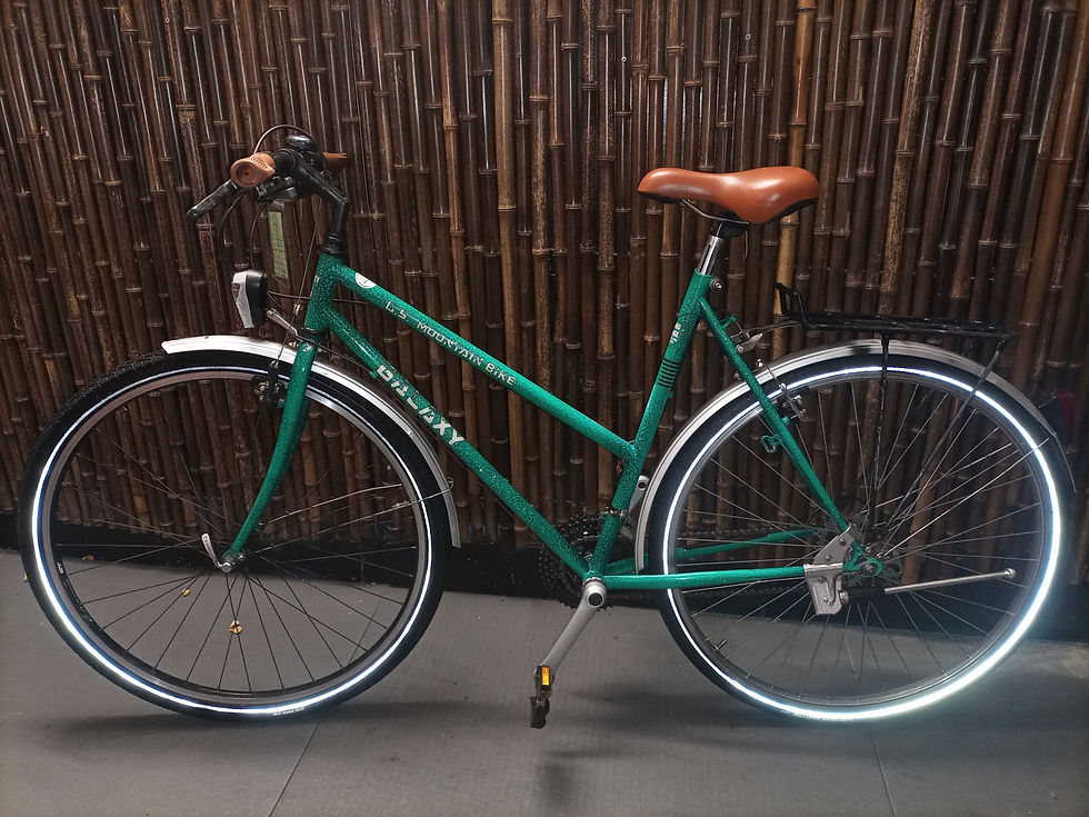 "GALAXY" Citybike,28 Zoll,21 Gänge,56 cm RH,mit 12 Monatige Garantie