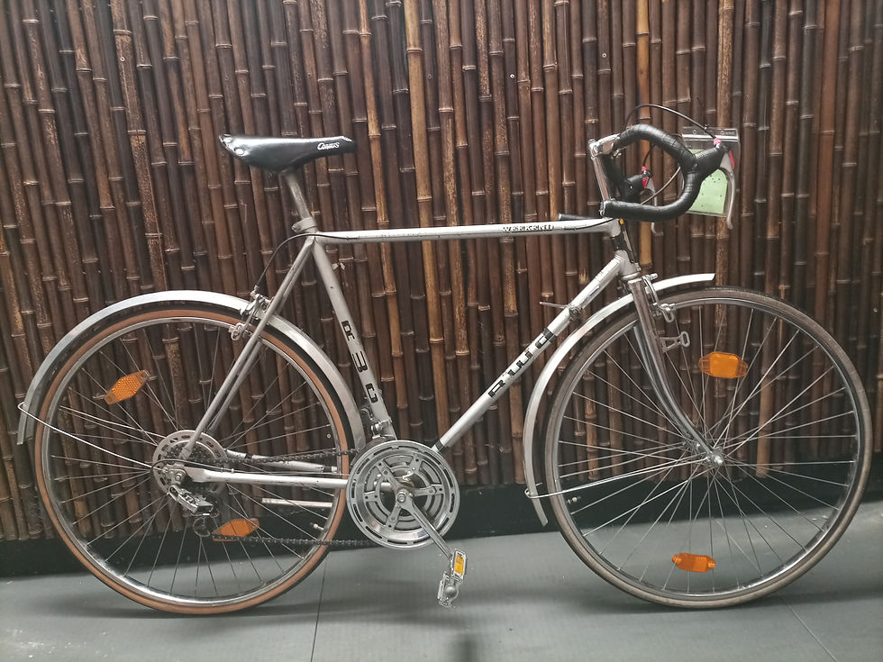 "RWC" Rennrad,28 Zoll,10 Gänge,60 cm RH,mit 12 Monatige Garantie