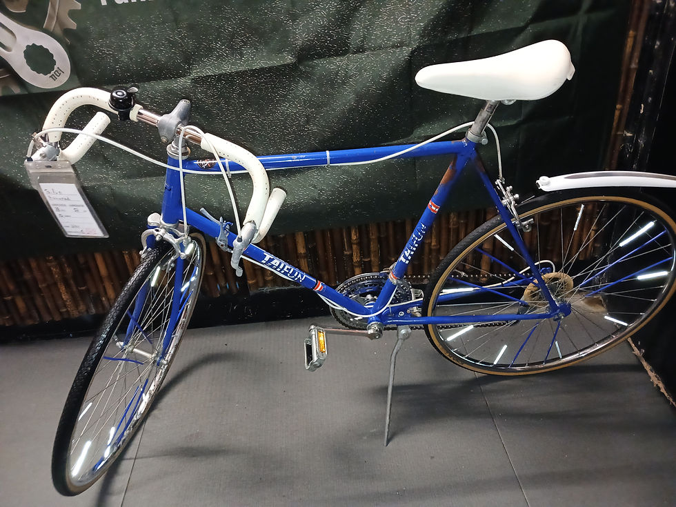 Miniaturbild: "TAIFUN"Rennrad.28 zoll.10 Gänge.59 cm RH.mit 1 Jahr Garantie.