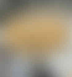 VALUTAZIONE INIZIALE DEL SUPPORTO