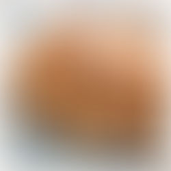 Day 1 - Vegan for a week