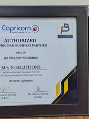 Capricorn Business Partner Certificate & Trophy