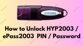ePass2003 HYP2003 USB Token User PIN or Password Unlock Unblock or Reset Process
