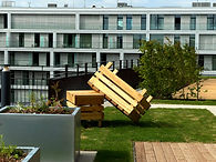 IMG_4674.jpg