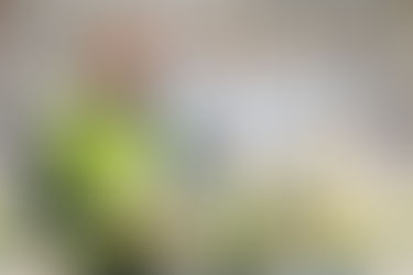 Testbeitrag