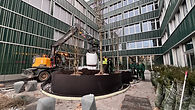 IMG_7021.jpeg