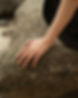 IMG_5804.jpeg