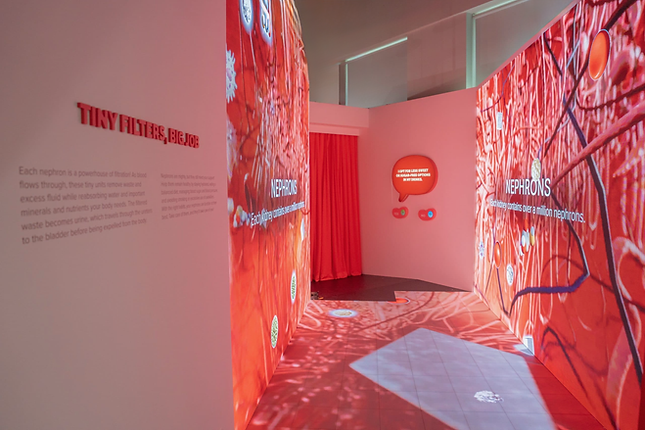 Kidney Discovery Centre_Edited.png