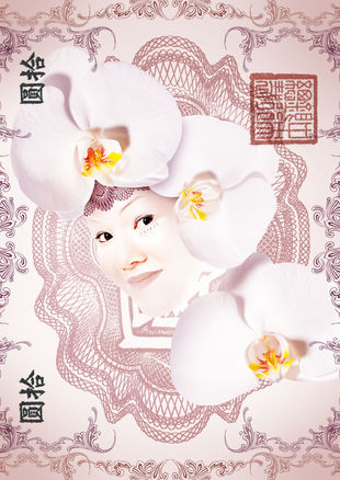 Orchidée par gilles de Beauchêne