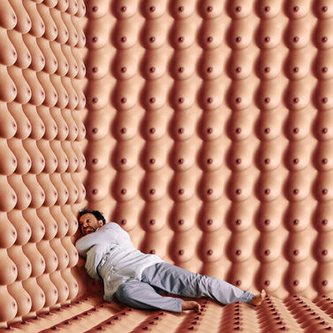 Le fou par gilles de beauchene