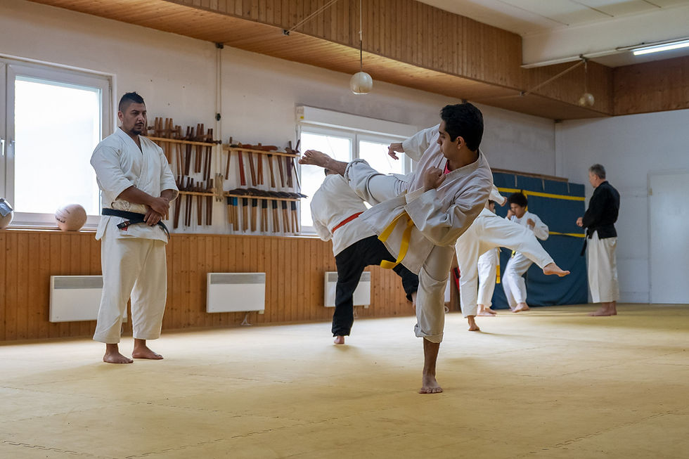Budokan-Trainingslager 2025