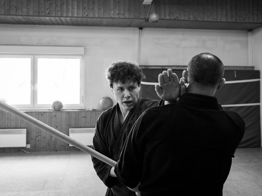 Yama michi ryu Ninjutsu