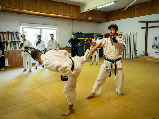 Jiyu Kumite