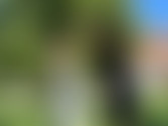 Qigong & Pflanzen – Kräuter-Erfahrungen